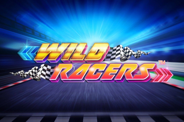 Game image: Wild Racers by Skywind
