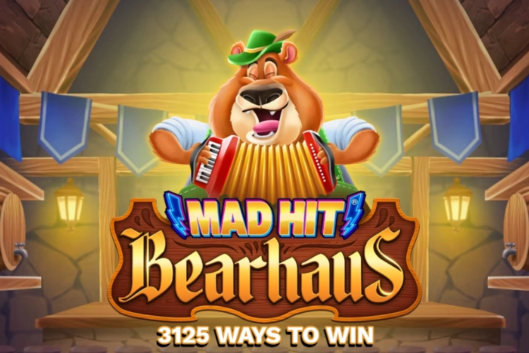 Game image: Mad Hit Bearhaus by RubyPlay