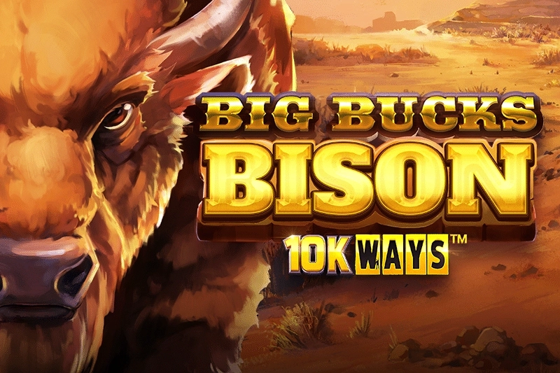 Game image: Big Bucks Bison 10K Ways by ReelPlay