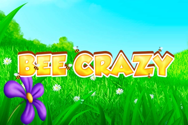 Game image: Bee Crazy by WorldMatch