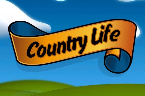 Game image: Country Life by WorldMatch