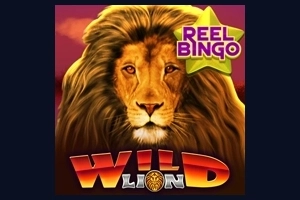 Game image: Wild Lion with Reel Bingo by Ready Play Gaming