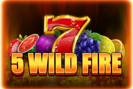 Game image: 5 Wild Fire by REDSTONE