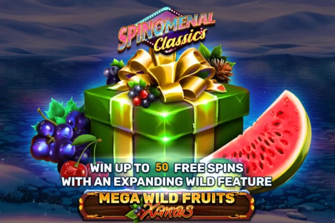 Game image: Mega Wild Fruits - Xmas by Spinomenal