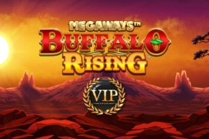 Thumbnail: Buffalo Rising All Action Megaways by Blueprint Gaming