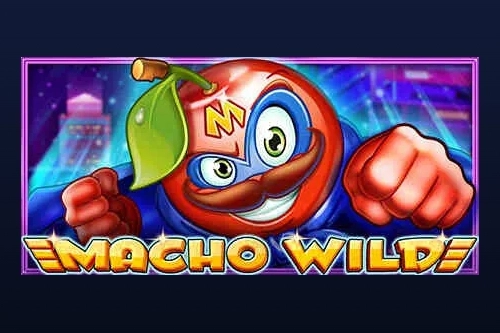 Game image: Macho Wild by CT Interactive
