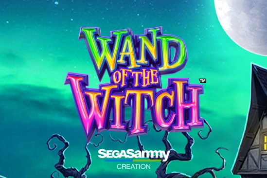 Game image: Wand of the Witch by Sega Sammy