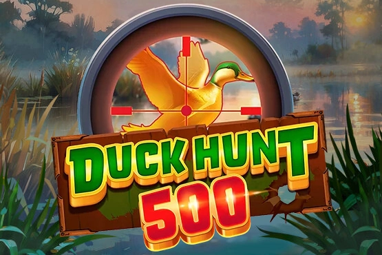 Game image: Duck Hunt 500 by AvatarUX