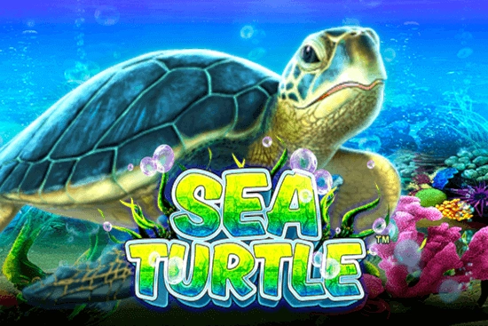 Thumbnail: Sea Turtle by GMW