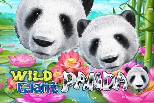 Game image: Wild Giant Panda by Eurasian Gaming