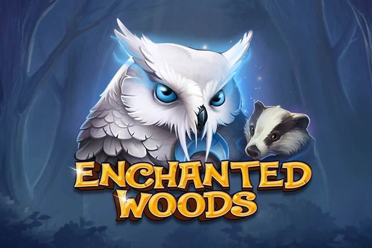 Game image: Enchanted Woods by CT Interactive