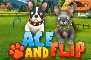 Game image: Ace and Flip by WGS