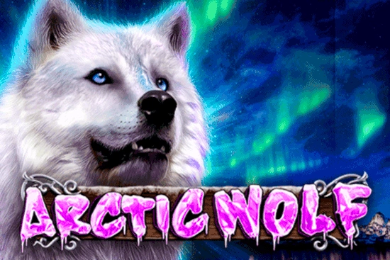 Thumbnail: Arctic Wolf by GMW