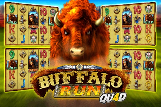 Thumbnail: Buffalo Run Quad by GMW