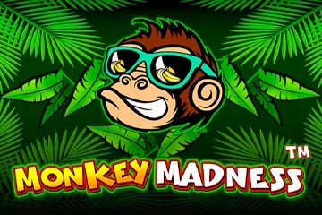 Thumbnail: Monkey Madness by Pragmatic Play