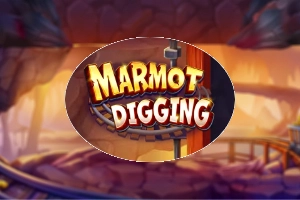 Thumbnail: Marmot Digging by BBIN