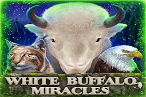 Thumbnail: White Buffalo Miracles by Boldplay