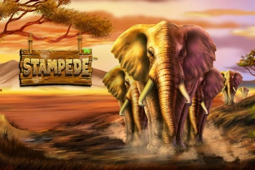 Thumbnail: Stampede by Betsoft