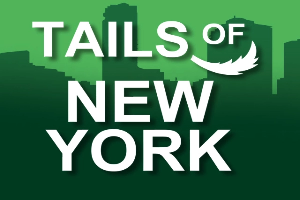 Thumbnail: Tails Of New York by Genii