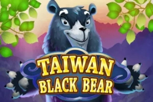 Μικρογραφία: Taiwan Black Bear από KA Gaming
