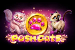 Thumbnail: Posh Cats by Platipus
