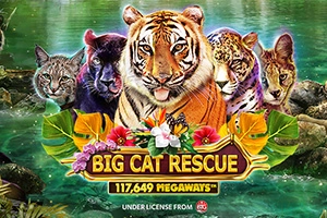 Game image: Big Cat Rescue Megaways by Red Tiger Gaming