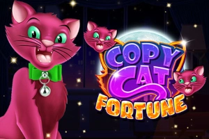 Game image: Copy Cat Fortune by RTG