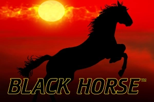 Spielbild: Black Horse von Wazdan