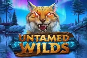 Spielbild: Untamed Wilds von Yggdrasil Gaming
