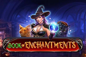 Spielbild: Book of Enchantments von Wizard Games