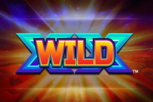 Game image: X Wild X by Spin Games